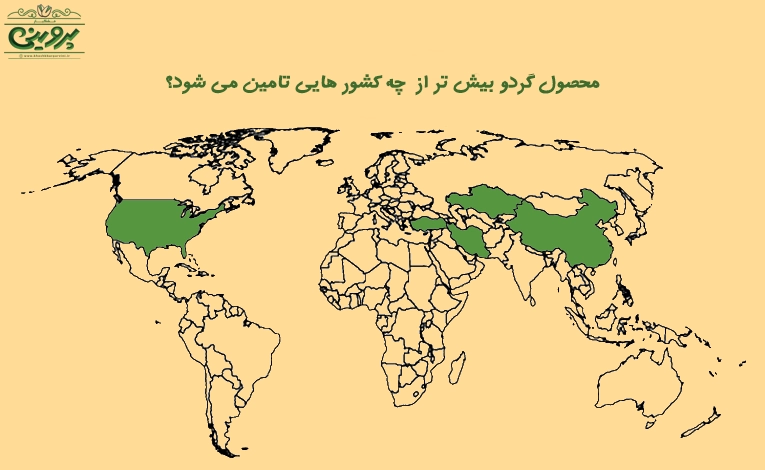 گردو عمده