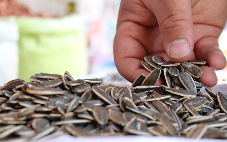 اغاز فعالیت خشکبار پروینی