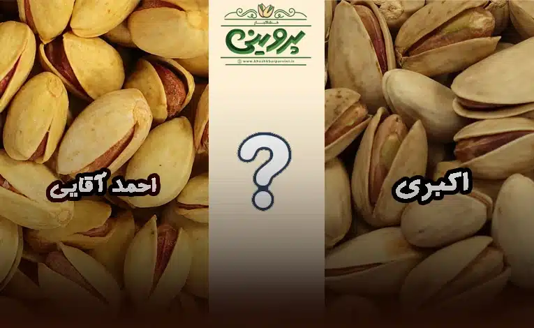تفاوت پسته احمد آقاییو اکبری
