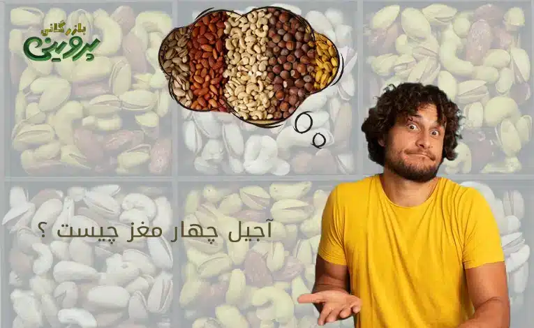 چهار مغز چیست