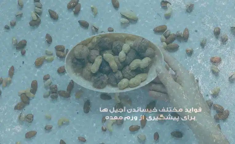 فواید خیساندن اجیل